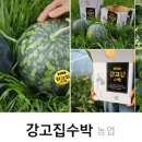 강부자 농장 이미지