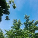 (주)파란해 이미지
