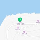 비고리조트 4 | 여수 블루온리조트 내돈내산 후기: 애견동반 독채에서 즐긴 오션뷰 힐링