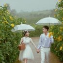 우산집영등포