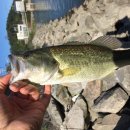 옥구저수지 이미지