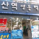 511더치 이미지
