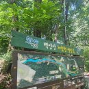 운수천계곡(1) 이미지