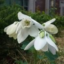 금오호텔 이미지