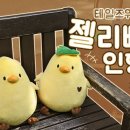 네코마켓 - 광주시 태봉로 145-2 | 네코마켓