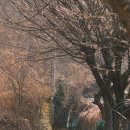 안산약수터 | 안산 수암봉 등산 코스 후기, 소요시간, 주차장, 난이도 정리