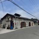 초당커피정미소 이미지