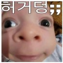북향 이미지