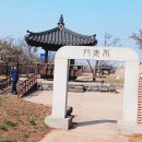 경인아라뱃길 시천교 | 검암역에서 매화동산 매화꽃 활짝피었어요 경인아라뱃길 시천교 남측전망대 경치