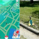 다운홍익체육관 이미지