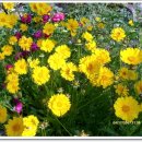 월드허브 이미지