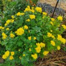 올라비올라 B to B 이미지