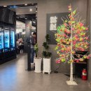 담원한상 | [광명] 가족모임 하기 좋은 깔끔하고 정갈한 담원 쌈밥 셀프바 무한리필 후기