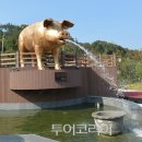 용담호홍삼