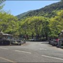 (고성) 연화산 산행[26.4월]주차장,옥천사,옥녀봉,선유봉,황새고개,남산,운암고개,연화산,운암고개...