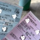 [4월/제주도 서쪽] 4월 가파도 청보리 축제 인터넷 마감으로 현장 예매 후기