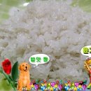 여주 자채쌀 진상 18일 도정한 쌀 ＜완판＞ 이미지