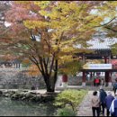 조선명주 이미지