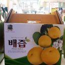 신토불이건강원 이미지