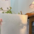 유리미내 이미지