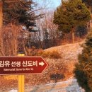 김유선생 신도비 이미지