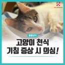 배방동물병원 이미지