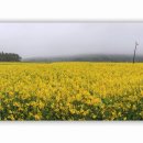 덕진목장 이미지