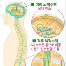 온셀