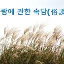 바람에 관한 속담 이미지