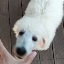 바언제주(바람의언덕) 이미지