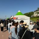 2025 남원 춘향제 주차 체험 백종원 먹거리 바가지 없음