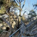 광판중학교 이미지