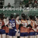 원더독 티스토리