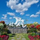 갯골생태공원 | 시흥갯골생태공원 후기｜서울 근교 힐링 산책 코스