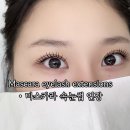 3485 | 눈화장 끝판왕!마스카라 효과 그대로 대구동구 속눈썹 연장 "블루미뷰티"