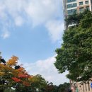 탕정삼성트라팰리스아파트~충남외국어고등학교 이미지