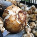 원하농장 이미지