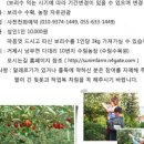 수림농장 이미지