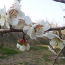 성실농원 이미지