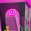 오렌지테니스24