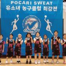 용인대 준 체육관 이미지