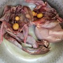 오케이펫미트(okpetmeat) 네이버블로그