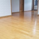 성복플라자 이미지