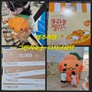 제주관광공사 제주 웰컴센터 | 제주여행 + 상품권 4만원 혜택 받는 꿀팁 공개