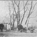 하늘봄사진관 이미지