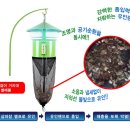 상가농장 이미지