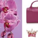 오키드 헤어 이미지