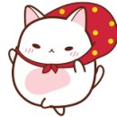 허브아일랜드민박 이미지