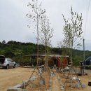 소암농장 이미지