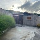 스테이 도담도담 이미지